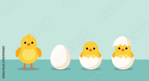 Sequential illustration showing the developmental stages of a baby chick from a white egg to a fully hatched bird.