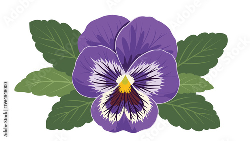 Vibrant purple pansy flower with a yellow center and dark petal patterns surrounded by several large green leaves.