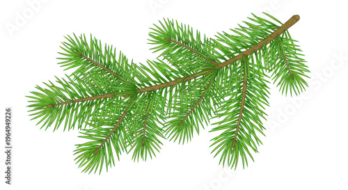 Fresh Green Pine Branch Isolated on White Background
