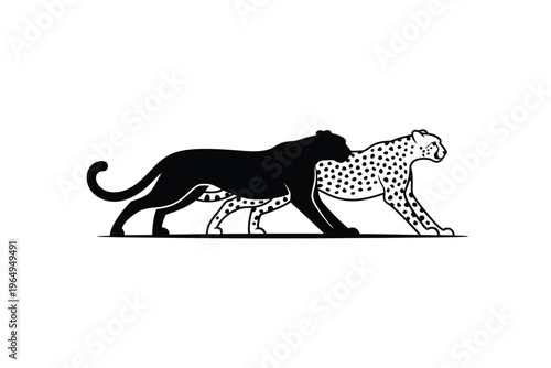 Two majestic big cats a jaguar and a leopard are shown in profile