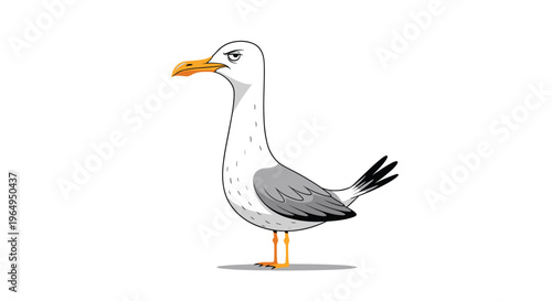 Humorous illustration of a white and grey seagull standing with a grumpy and suspicious facial expression on a white background.