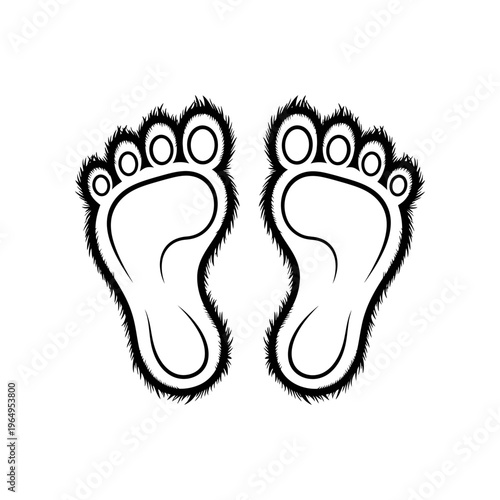 A pair of furry feet with five toes