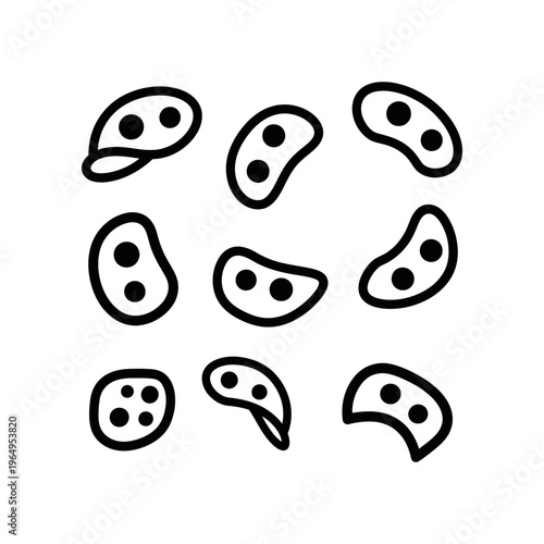 A group of cartoon cells with two or more black dots inside