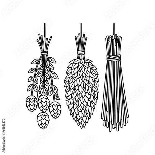 A black and white drawing of hops and reeds