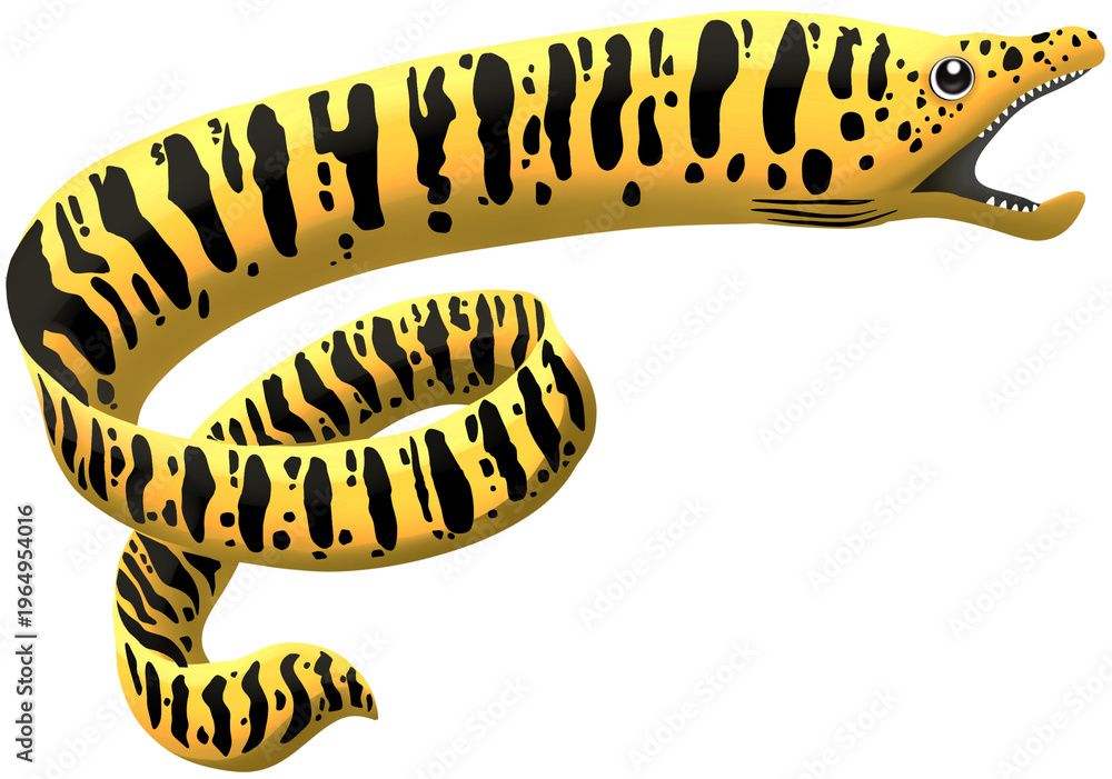 Fototapeta premium Giant Moray