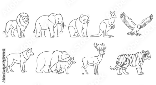 Collection of various wild animals standing.