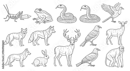 Collection of various wild animals 3.