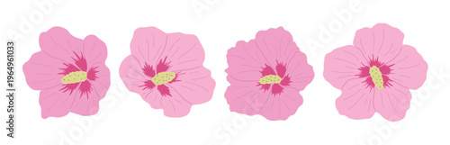 Set of pink hibiscus syriacus (Mugunghwa) flowers. Flat vector illustration of various Korean national flowers in bloom on white background for spring and traditional design.