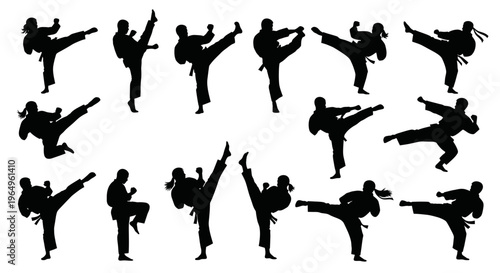 Martial Arts Silhouette Collection: Karate, Kickboxing, Taekwondo, Kung Fu Poses