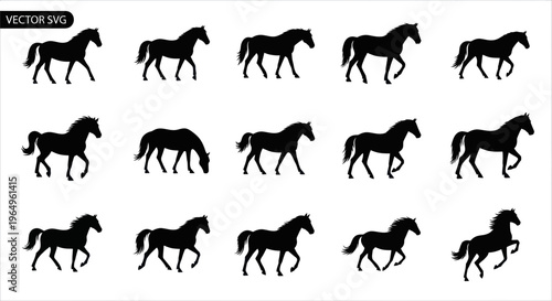 Horse Silhouettes Collection: Various Poses and Movements
