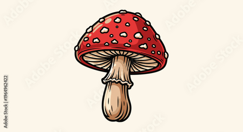 Amanita muscaria red mushroom cap.