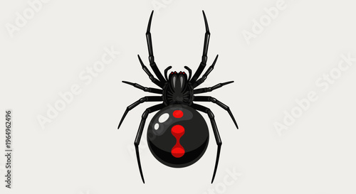 Black widow spider with red marking.