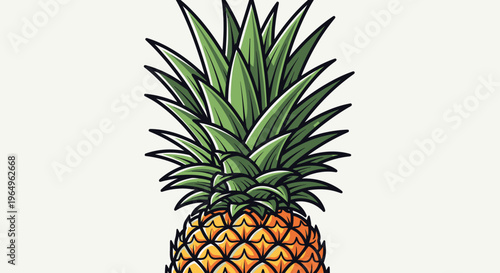 Fresh Pineapple Fruit Isolated Closeup View.