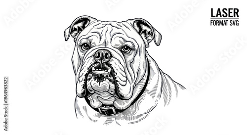 Bulldog Portrait, Hand-Drawn Sketch, Animal Art, Vector Illustration