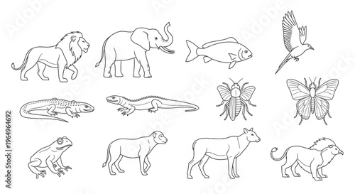 Collection of various wild animals line art 1.