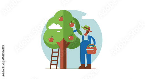 Man picking apples from tree 1.