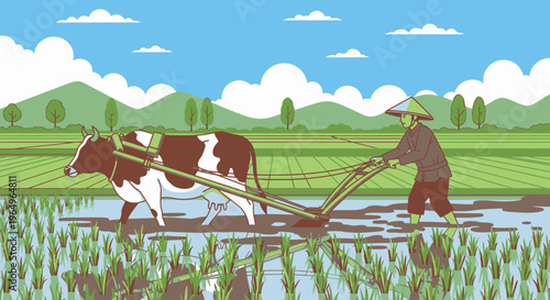 Man plowing rice field with cow.