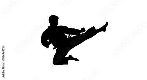 Martial Arts Silhouette: Dynamic Karate Kick Action