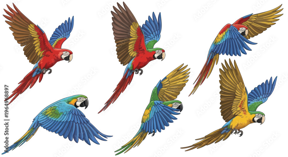 Obraz premium Vibrant Macaw Parrots Flying in Different Poses, Tropical Birds Collection