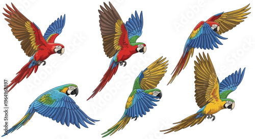 Vibrant Macaw Parrots Flying in Different Poses, Tropical Birds Collection