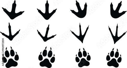 Silhouette illustrations of bird and mammal footprints, vector track design set showing animal paw prints, nature wildlife art, 