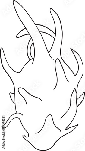Vector dragon fruit illustration