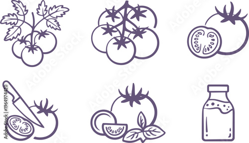 Collection of stylized tomato for food and cooking