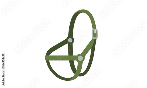 Simple green horse halter with buckle, a fundamental piece of equestrian equipment for animal control, training, and safe handling of horses and ponies