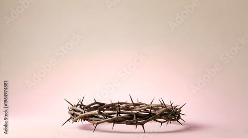 Crown of Thorns on a Light Pink Background.