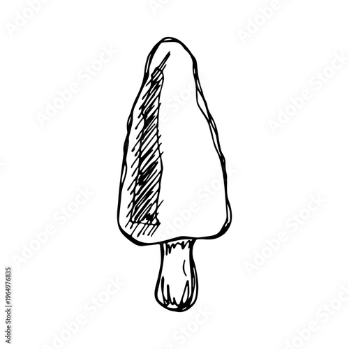 Hand drawn mushroom doodle Botanical illustration Cute autumn mushroom Healthy eco food Organic vegetarian food For stickers, greeting card, design, print, packaging, decor, kids books