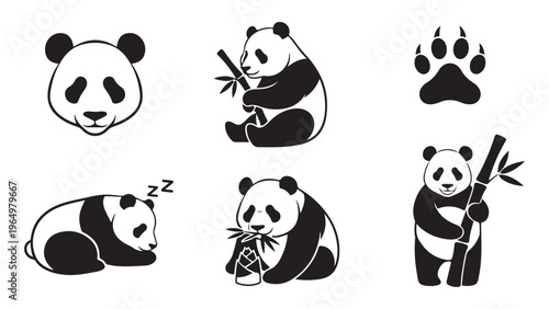 Collection of adorable panda bear illustrations in various poses