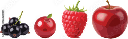 Realistic fresh berry and fruit collection with detailed illustrations of blackcurrants, cranberries, raspberries, and red apple on white background