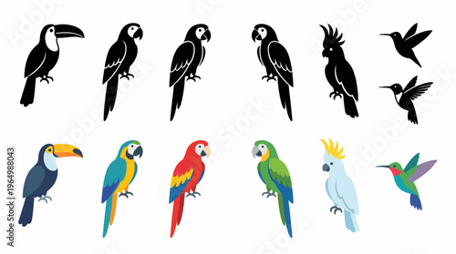 Set of colorful and silhouette parrots, toucans and hummingbirds on a white background