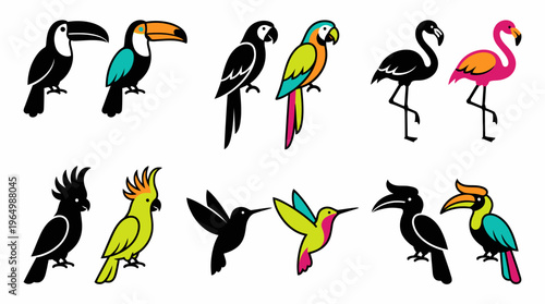 A diverse and colorful array of tropical bird illustrations, perfect for designs requiring vibrant exotic fauna, showcasing various species in a clean vector art collection