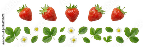 Row of Fresh Red Strawberries and Green Leaves