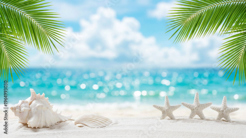 南国ビーチサイドの砂浜にならんだ美しい貝殻とヤシの葉