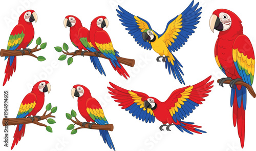 Colorful Parrot Vector Collection with Scarlet Macaws and Blue-and-Yellow Macaws, Flying and Perched Poses, Tropical Birds, and Exotic Wildlife Illustrations for Digital and Educational Designs