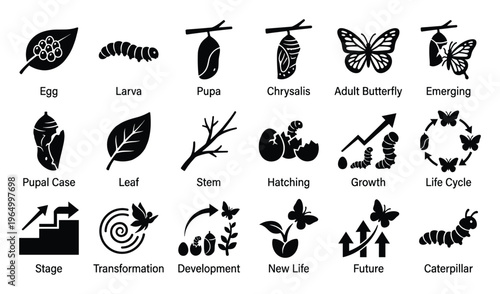Discover the fascinating metamorphosis journey with a comprehensive collection of life cycle icons illustrating the stages of butterfly development and growth, ideal for educational content