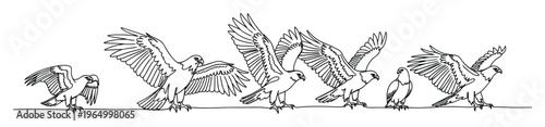 Dynamic sequence of predatory birds in continuous line drawing style depicting motion and flight for nature education or wildlife conservation projects