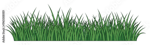 Fresh green grass growth serving as a vibrant natural border or ground covering for seasonal landscapes and outdoor themed projects