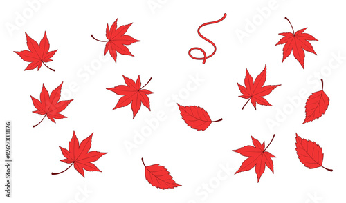 Various red maple and autumn leaves scattered across the frame, perfect for seasonal graphic elements and fall marketing designs
