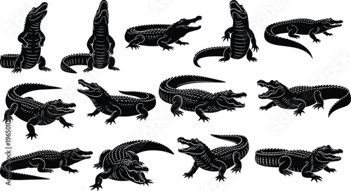 Set of crocodile and alligator silhouettes featuring predatory reptiles in various poses including crawling sitting and attacking isolated on a white background