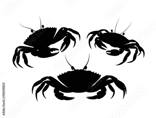 Crab silhouette vector collection featuring sea animal icons, shellfish graphics, and aquatic wildlife isolated on white