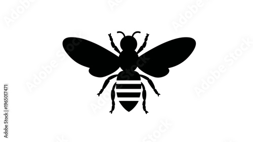 A simple, symmetrical illustration of a bee with its wings extended against a white background