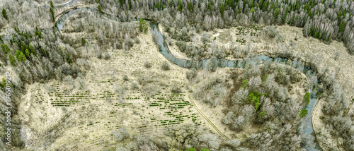 aerial view of spring forest with a winding river flowing through it. panoramic image.