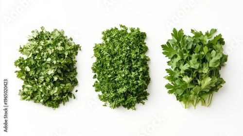 Herb composition with crushed parsley, coriander bits, and chervil flakes arranged side-by-side for top-view comparison in culinary infographic style