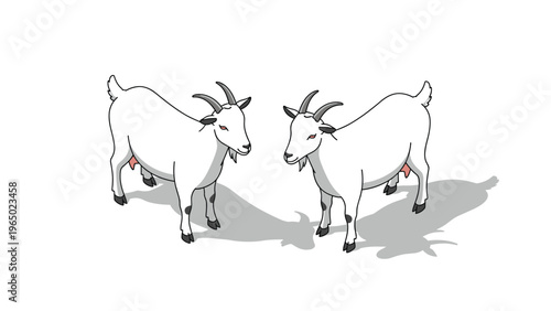 Two white farm goats with horns standing opposite each other and casting shadows on a plain white background.