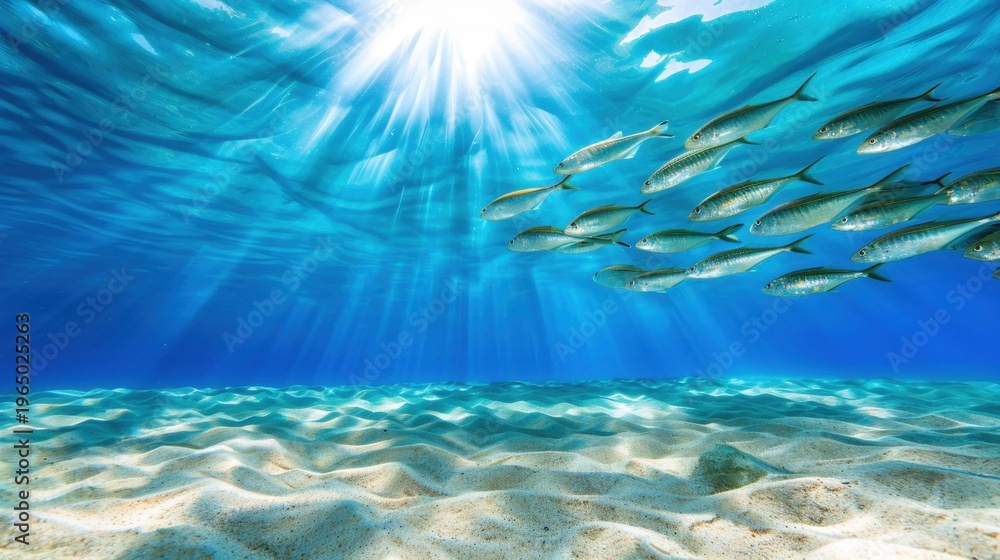 Obraz premium Underwater Scene with Schools of Fish Swimming Through Crystal Clear Blue Ocean Water and Sunlight Rays