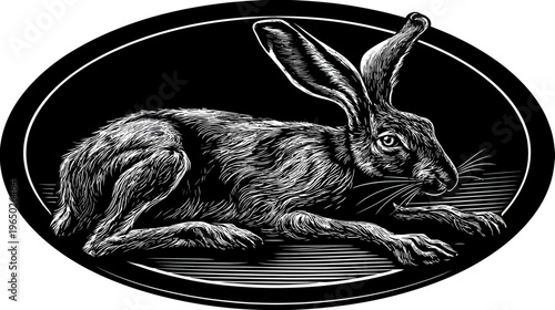 A detailed white hare resting inside a black oval, showing fur and whiskers in high detail