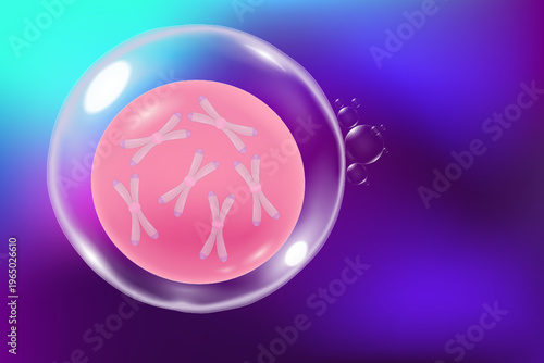Cell anatomy. Embryonic stem cells. Stem cells for website, media and publications. Medical science background. Microbiology. 